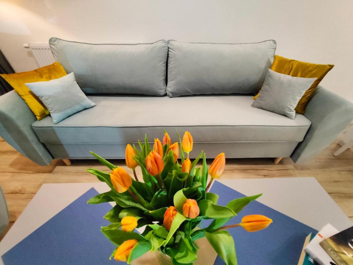 Cicha Przystan Apartamenty Regata Garaz W Cenie 코워브제크 외부 사진